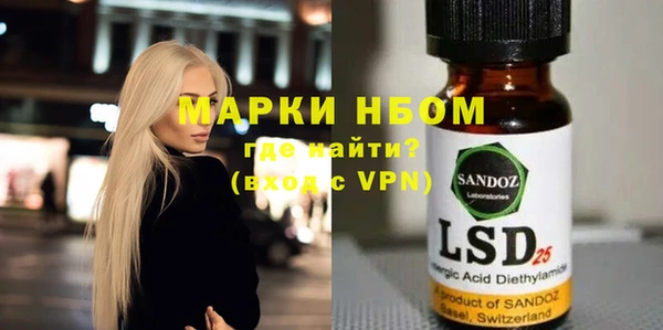 ПСИЛОЦИБИНОВЫЕ ГРИБЫ Горно-Алтайск