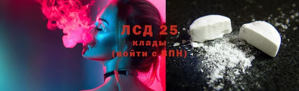 ПСИЛОЦИБИНОВЫЕ ГРИБЫ Горно-Алтайск