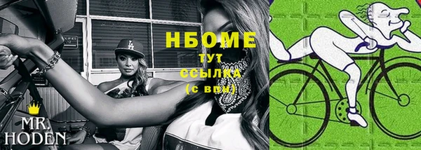 ПСИЛОЦИБИНОВЫЕ ГРИБЫ Горно-Алтайск