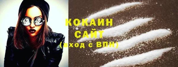 ПСИЛОЦИБИНОВЫЕ ГРИБЫ Горно-Алтайск