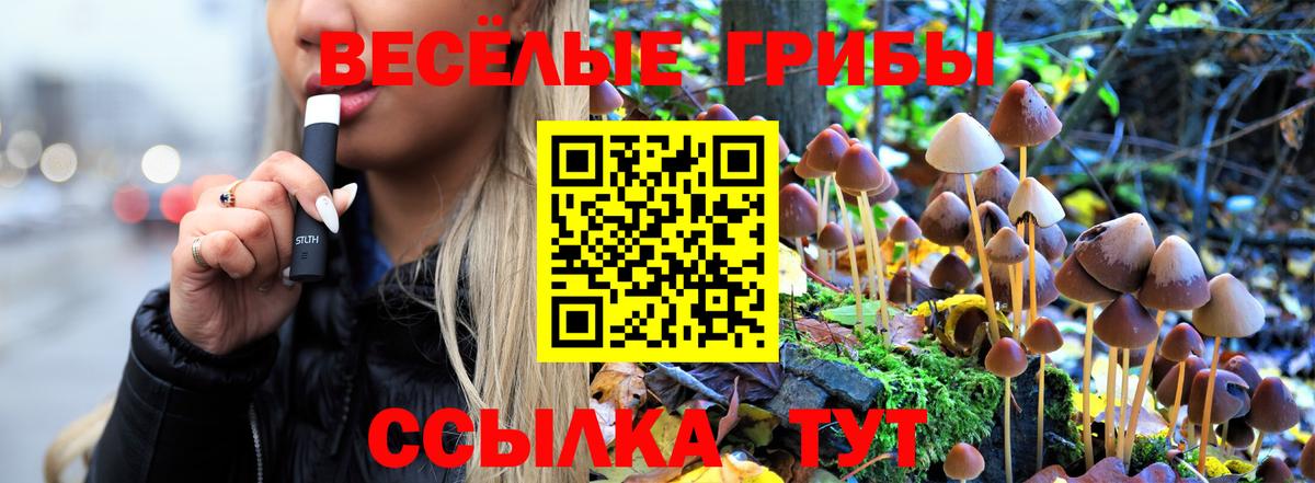 Галлюциногенные грибы MAGIC MUSHROOMS  Вход с VPN  Галлюциногенные грибы Psilocybine cubensis  Обь 